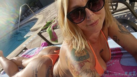 Rose Swallows model nice img