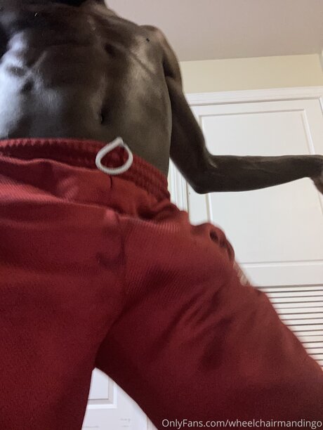 Wheelchairmandingo model hot img