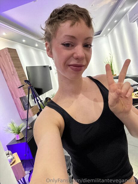 Diemilitanteveganerin art star img