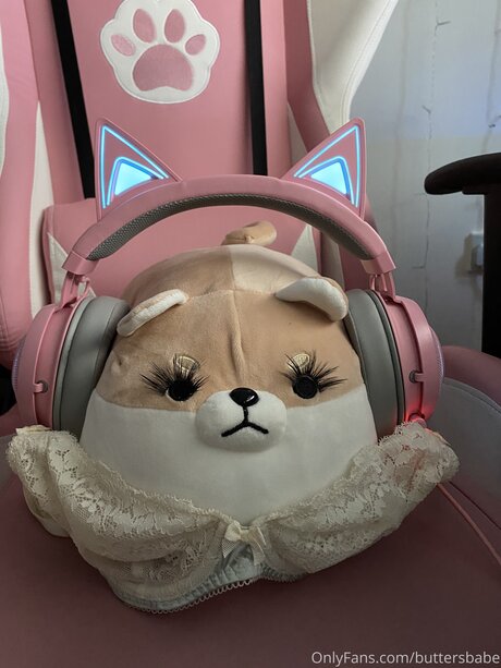 Zaykap xxx model images