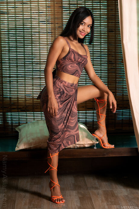 Namy Asian Free art actress galleries