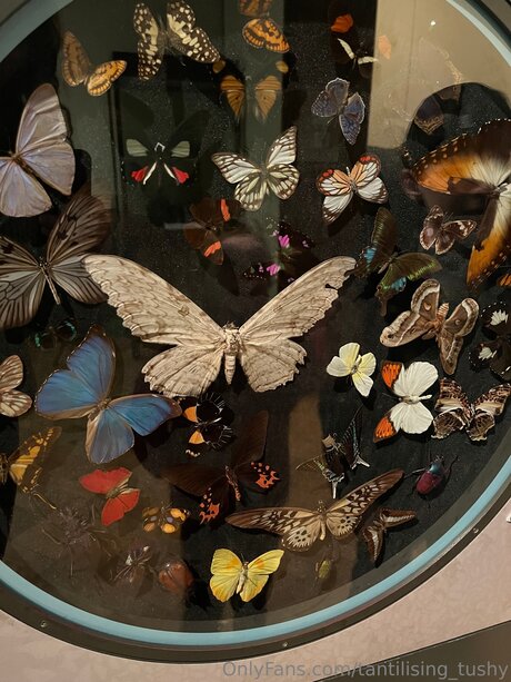 Tantilising Tushy nude actress pic