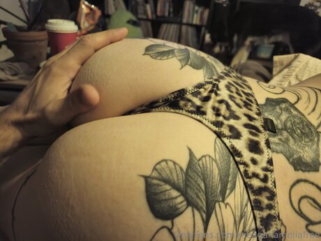 Meaganameliafree nice pornstar photo