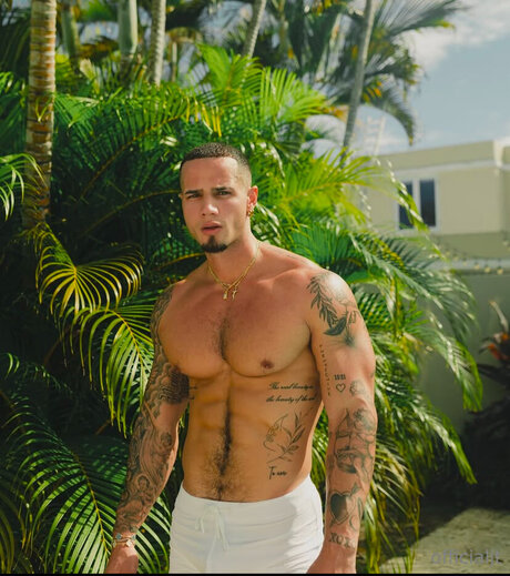 Officialjt star xxx archive