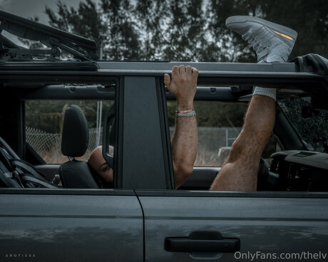 Thelv best model galleries