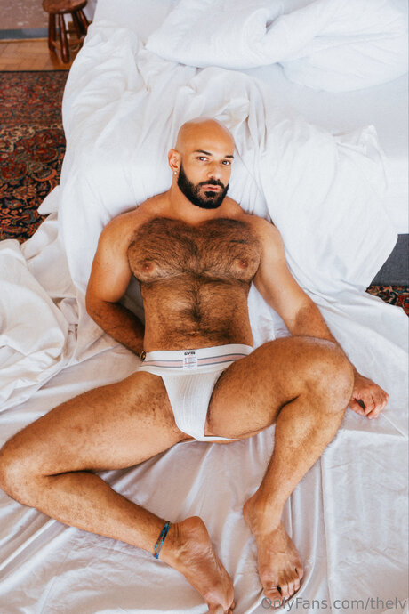 Thelv high quality star images