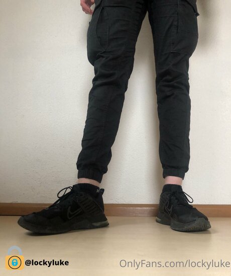 Lockyluke Quick model image