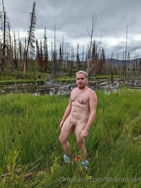 Bbbranden perfect model images