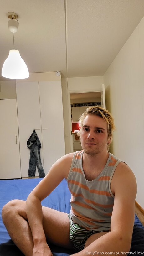 Punnettwillow star hot pic