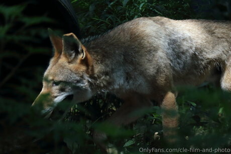 Cle Film And Photo hot actress images