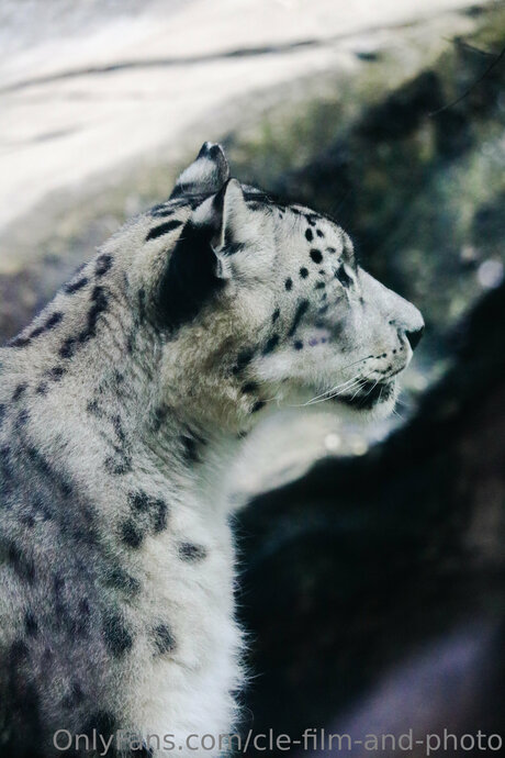 cheerleader nude onlyfans porn gallery