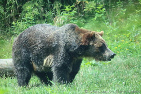 Cle Film And Photo star perfect picture