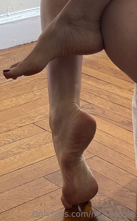 Museosole porn actress archive