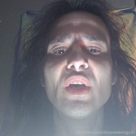 Bruceleesings30 model art picture