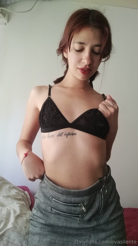 Evasilente star art picture