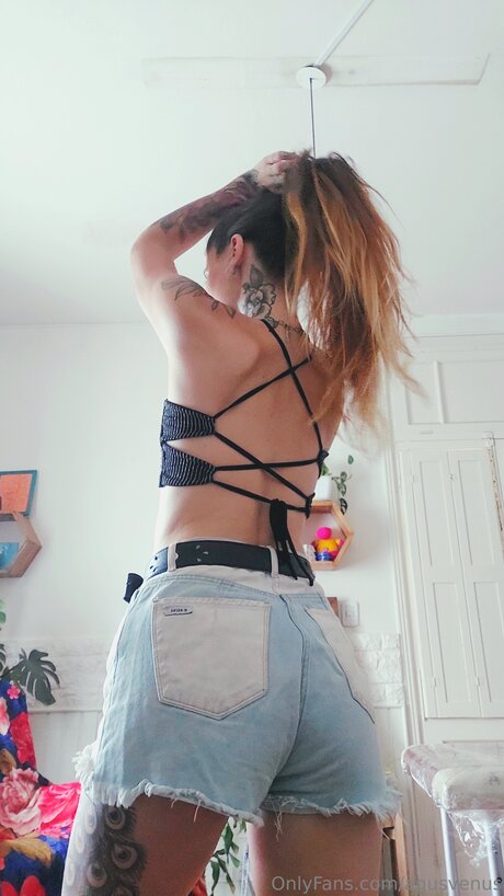 Agusvenus star hot image