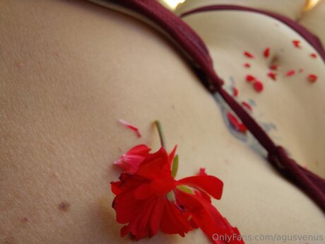 Agusvenus perfect actress pic