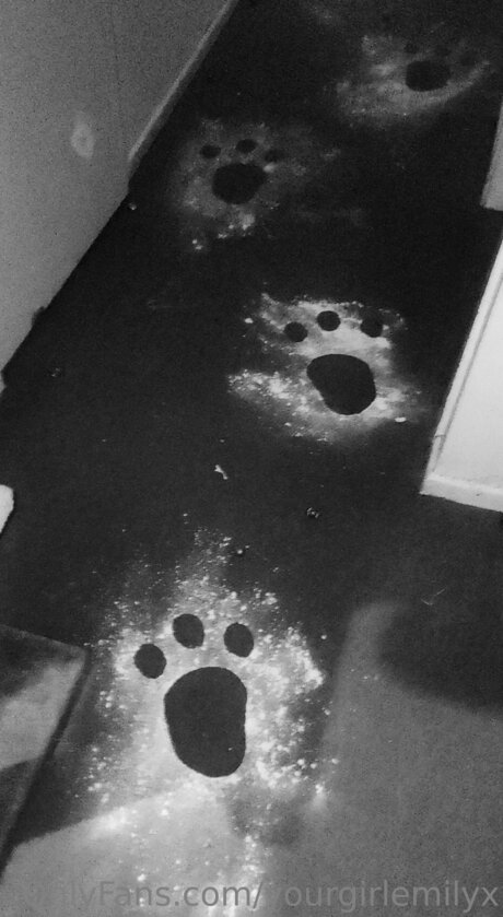 Yourgirlemilyx star naked pics