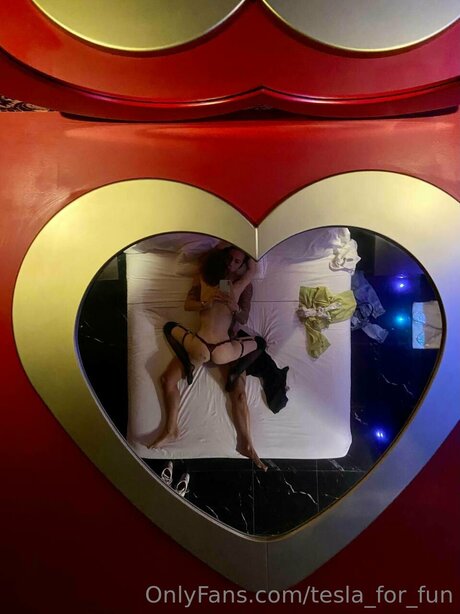 Tesla For Fun star perfect archive