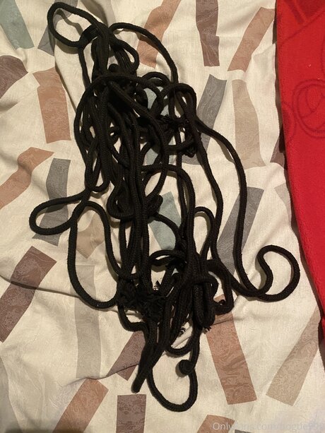 Hogtie999 star top img