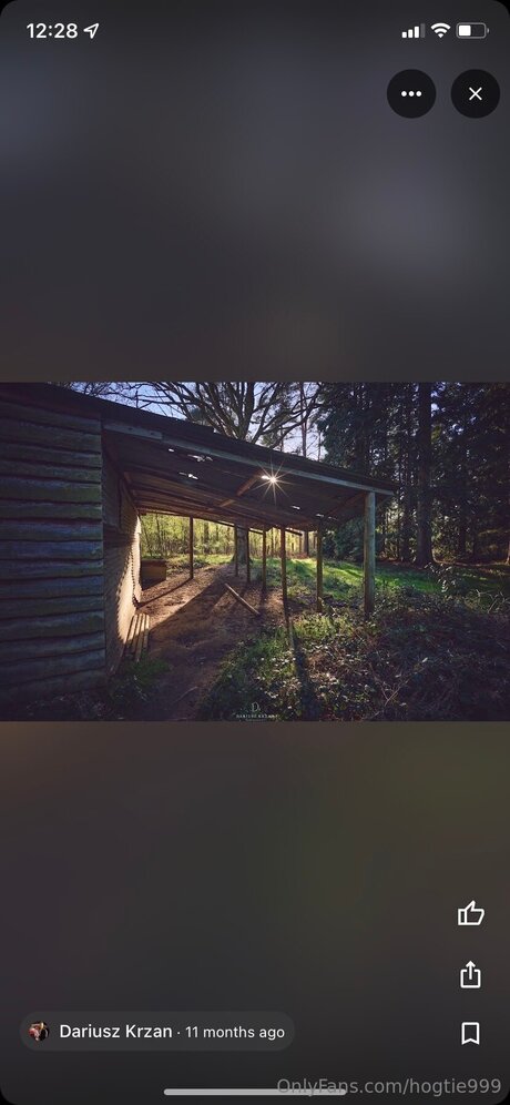 Hogtie999 art pornstar images