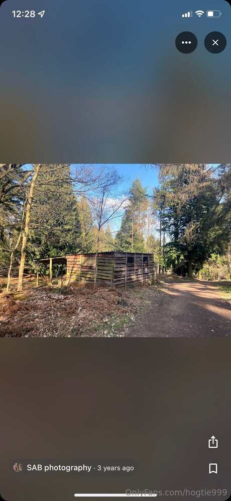 Hogtie999 model hot archive