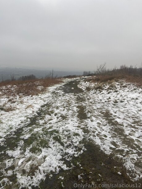 Salacious12 star porn pic