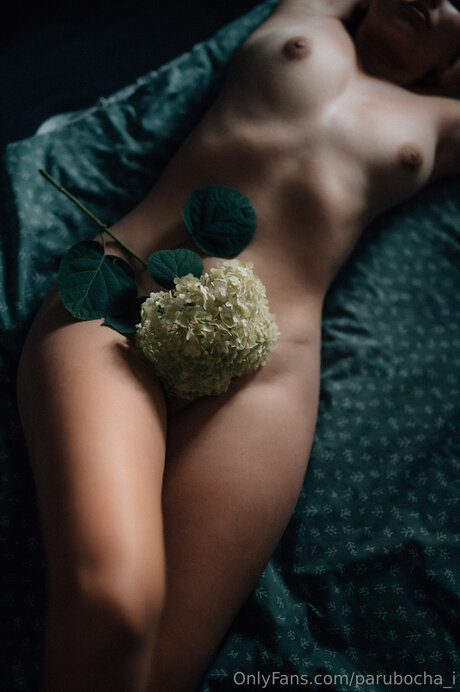 Parubocha I nice model img