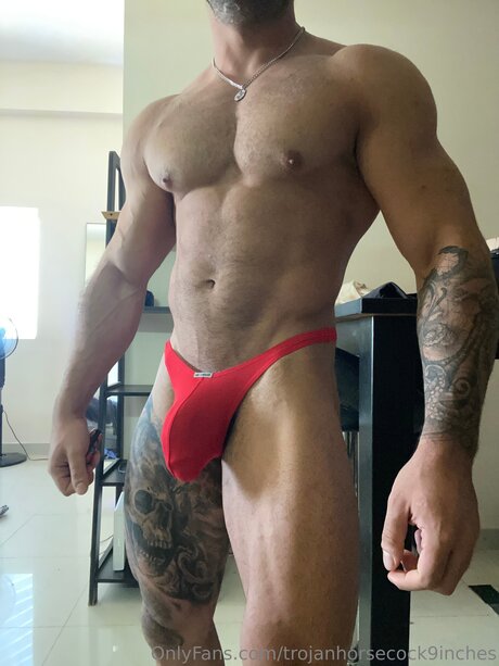 Trojanhorsecock9inches free star archive