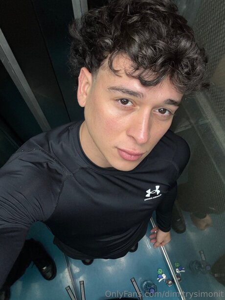 Dimitrysimonit best model image