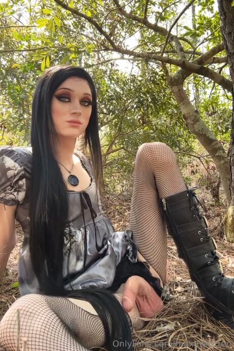 Maxinekitten top star img