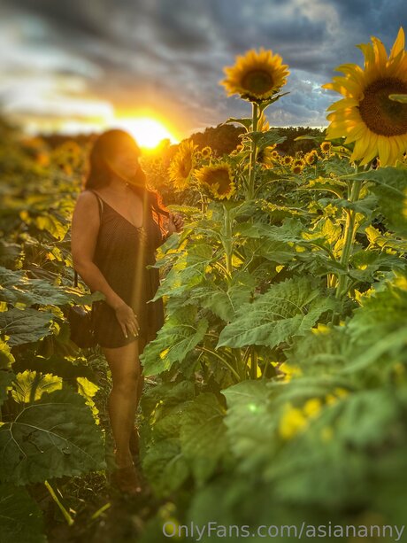 Asiananny hot star gallery