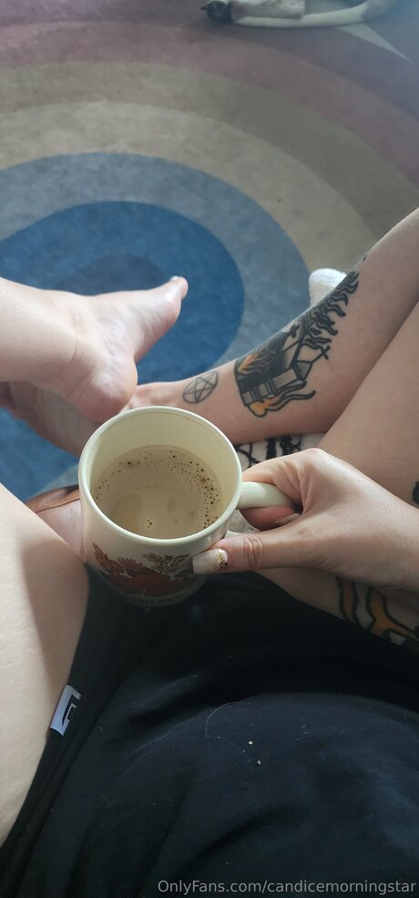 Candicemorningstar art pornstar pictures