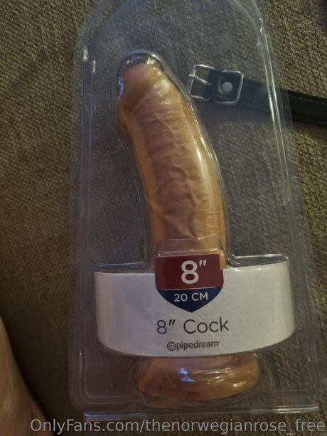 Thenorwegianrose Free model adult img