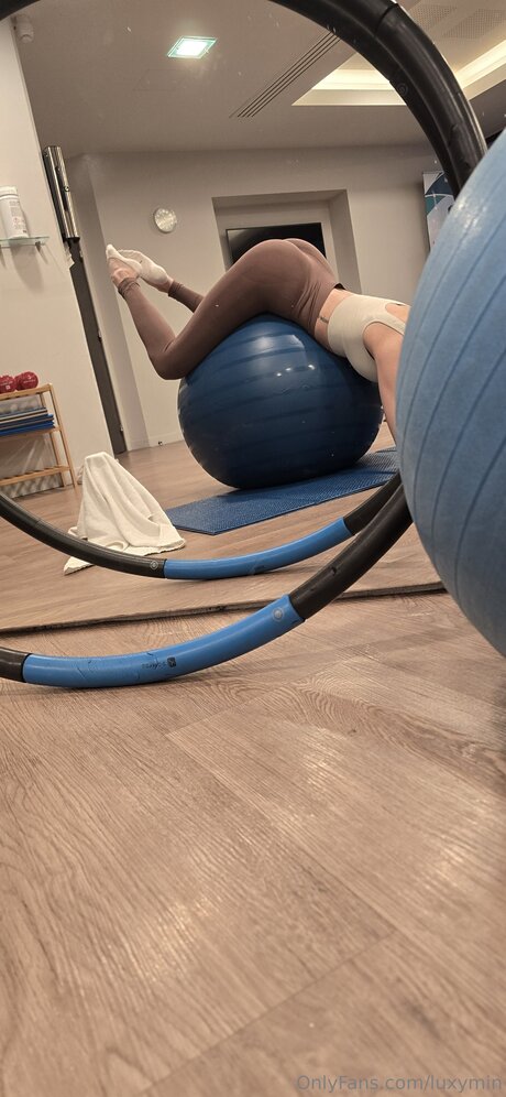 Luxymin model art img