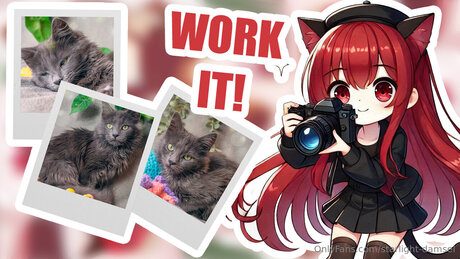 Starlight Damsel high quality star pictures