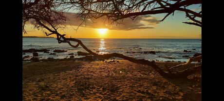 Mnmassager model pretty photos