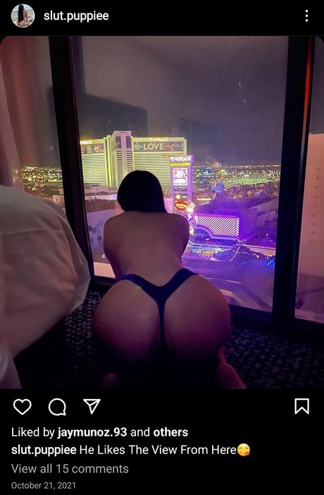 Slut Puppie adult star img