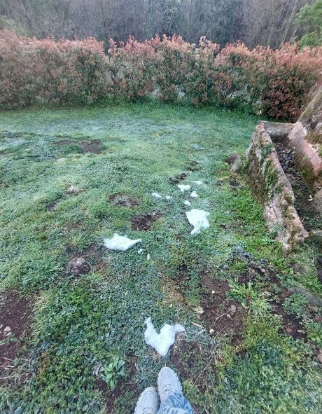 Wet Lucy Baby porn actress photo