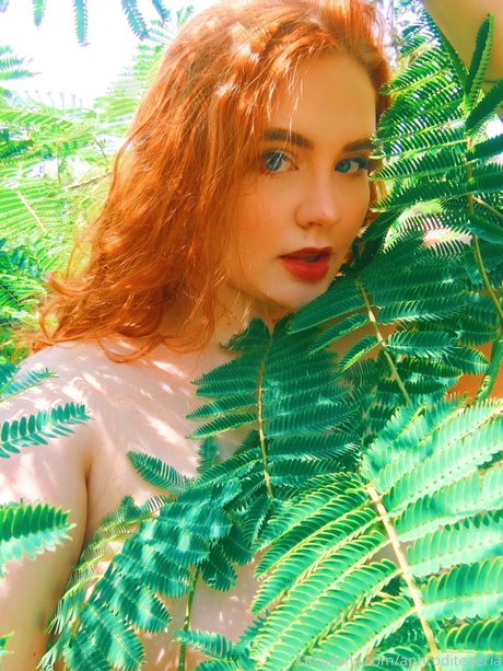 Allisonivyx star naked galleries