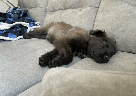 Summerreese Profile pic