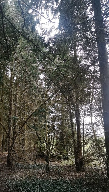 the kitty amore xxx actress pics