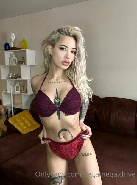 segamega drive model img