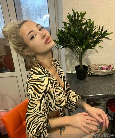 segamega drive sex model archive