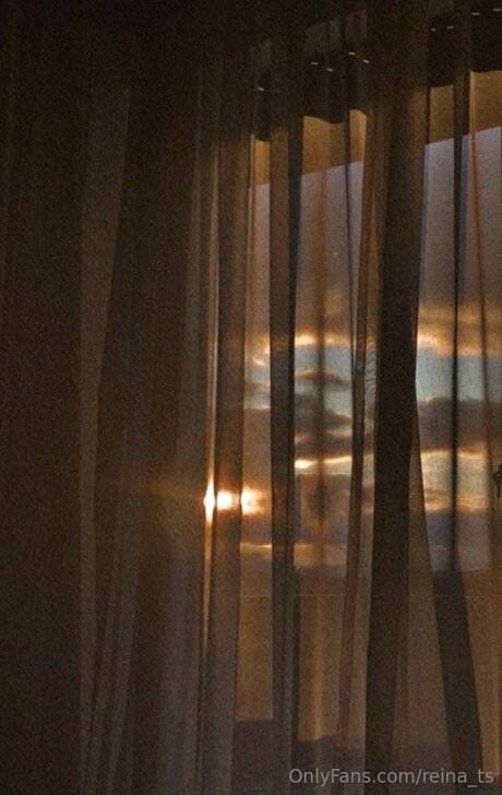 Reina Ts star free gallery