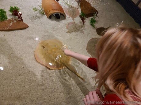 Ameliaablossom nude pornstar images