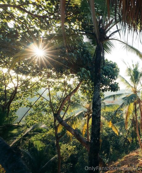 Aiko Xx star top archive