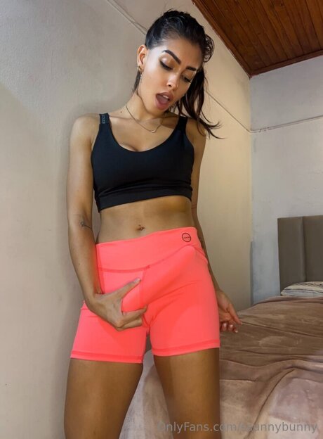 Ssunnybunny top star image