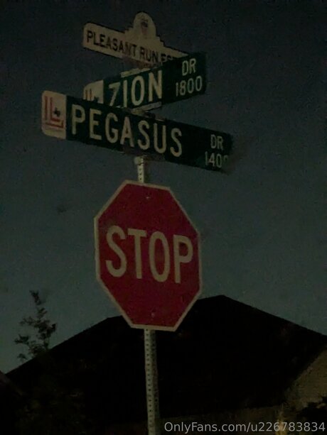 Pegasus Adrienne model perfect image