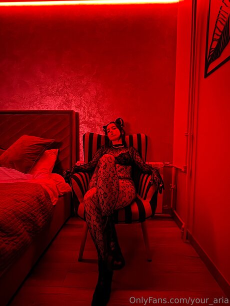 Your Aria Quick model image